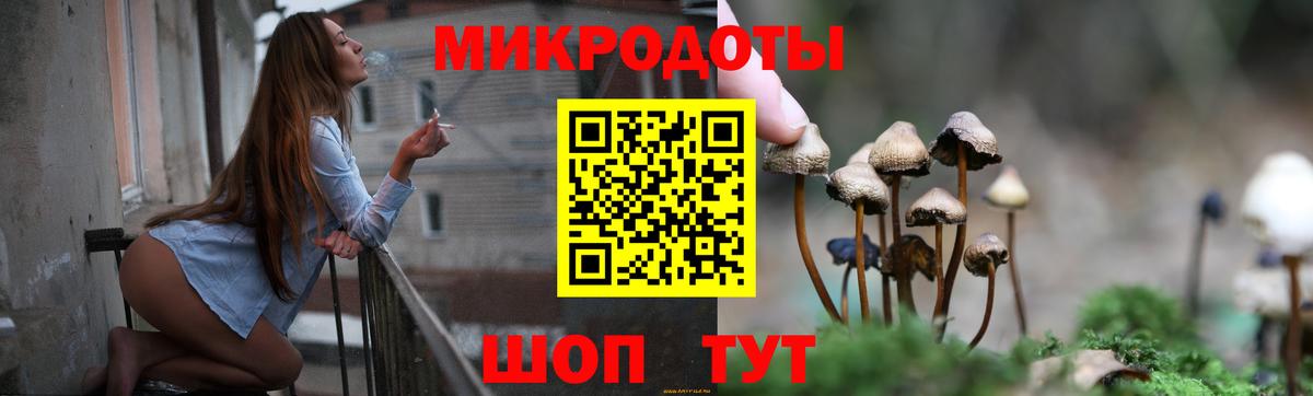 Торжок  Псилоцибиновые грибы GOLDEN TEACHER  Вход с VPN 